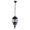 Подвесной уличный светильник A1045SO-1BG Atlanta Arte Lamp (1)