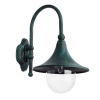 Настенный уличный светильник A1082AL-1BG Malaga Arte Lamp (1)