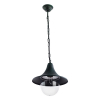 Подвесной уличный светильник A1085SO-1BG Malaga Arte Lamp (1)