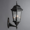 Настенный уличный светильник A1201AL-1BS Genova Arte Lamp (2)