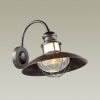 Уличный настенный светильник 4164/1W Dante Odeon Light (1)