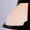 Подвесной уличный светильник A1495SO-1BK Monaco Arte Lamp (3)
