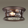 Потолочный светильник 4961/2C Mavret Odeon Light (2)