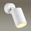 Фасадный светильник 4208/1C Corsus Odeon Light (2)