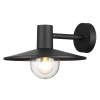 Настенный светильник 4833/1W Furcadia Odeon Light (1)