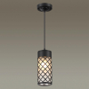 Подвесной светильник 4834/1 Dunes Odeon Light (2)