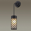 Настенный светильник 4834/1W Dunes Odeon Light (2)
