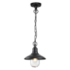 Подвесной светильник 4965/1 Campa Odeon Light (1)