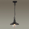 Подвесной светильник 4965/1 Campa Odeon Light (2)