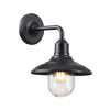 Настенный светильник 4965/1W Campa Odeon Light (1)