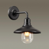 Настенный светильник 4965/1W Campa Odeon Light (2)