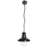 Подвесной уличный светильник A1523SO-1BN Amsterdam Arte Lamp (1)