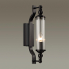 Уличный настенный светильник Tolero 4941/1W Odeon Light (4)
