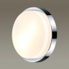 Настенно-потолочный светильник Holger 2746/2C Odeon Light (2)
