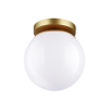 Потолочный накладной светильник Bosco 4247/1C Odeon Light (1)