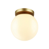 Потолочный накладной светильник Bosco 4247/1C Odeon Light (3)