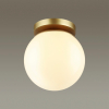 Потолочный накладной светильник Bosco 4247/1C Odeon Light (5)