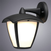 Настенный уличный светильник A2209AL-1BK 12W 4000K Savanna Arte Lamp (2)