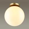 Потолочный накладной светильник Bosco 4248/1C Odeon Light (5)