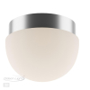 Светильник потолочный Minkar 2443/1A Odeon Light (2)