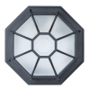 Потолочный уличный светильник A3100PL-1BK Pegasus Arte Lamp (2)