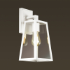 Уличный настенный светильник 4170/1W Clod Odeon Light (1)