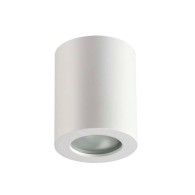 Потолочный накладной светильник Aquana 3571/1C Odeon Light