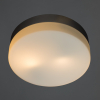 Потолочный уличный светильник A3211PL-2SI Aqua-Tablet Arte Lamp (2)
