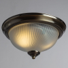 Потолочный уличный светильник A9370PL-2AB Aqua-Plate Arte Lamp (2)