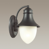 Уличный настенный светильник 4041/1W House Odeon Light (1)