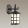 Уличный настенный светильник 4042/1W House Odeon Light (1)