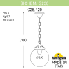 Подвесной уличный светильник Sichem G250 G25.120.000.AZE27 Fumagalli (2)