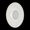 Уличный светильник настенно-потолочный SL925.501.01 Sotti ST-Luce (1)