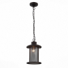 Уличный светильник подвесной SL080.403.01 Lastero ST-Luce (1)