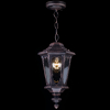 Подвесной уличный светильник S101-10-41-B Oxford Maytoni (1)