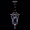 Подвесной уличный светильник S101-10-41-B Oxford Maytoni (2)