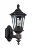 Уличный настенный светильник S101-42-11-R Oxford Maytoni (3)