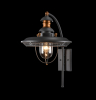 Уличный настенный светильник S105-57-01-G Magnificent Mile  Maytoni (1)