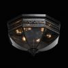 Потолочный уличный светильник Корсо 801010806 CHIARO (2)