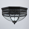 Потолочный уличный светильник Корсо 801010806 CHIARO (3)